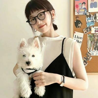 灵驹续集